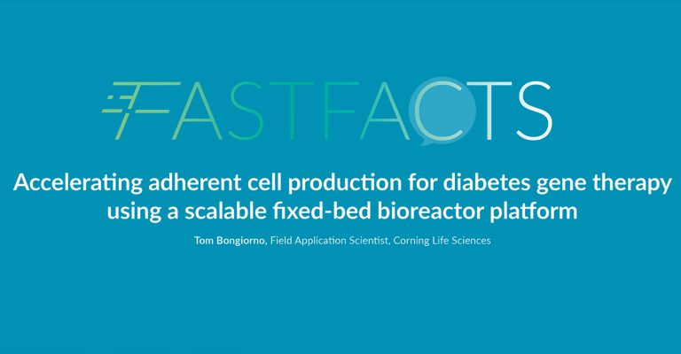Accelerating Adherent Cell Production for Diabetes Gene Therapy Using a Scalable Fixed-Bed Bioreactor Platform
