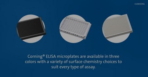 ELISA Microplates for Biochemical and Cell-based Applications
