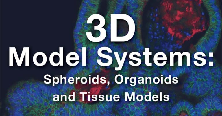 3D Model Systems: Spheroids, Organoids, and Tissue Models e-Book