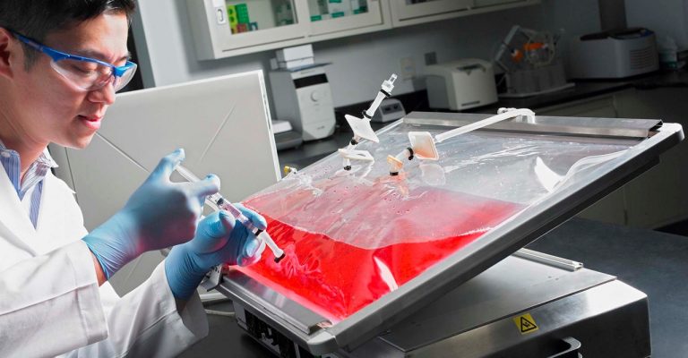 5 Things to Consider When Customizing Cell Culture Media (and Other Reagents)