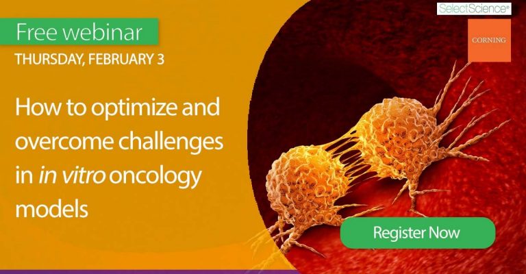 How to optimize and overcome challenges in in vitro oncology models