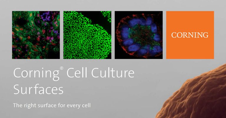 Cell Culture Surfaces Product Selection Guide