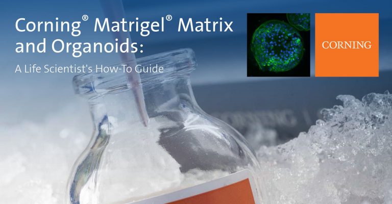 Guide: Corning® Matrigel® Matrix and Organoids