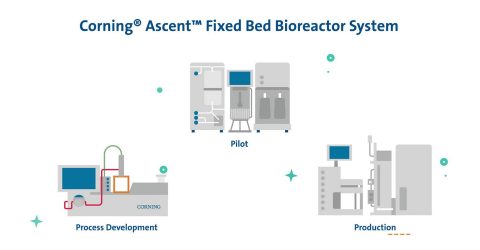 Optimizing Cell & Gene Therapy Development with the Corning Ascent FBR System