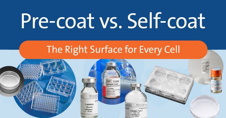 Infographic: Pre-coat vs. Self-coat