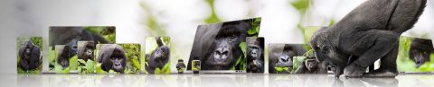 Corning Gorilla Glass DX Products